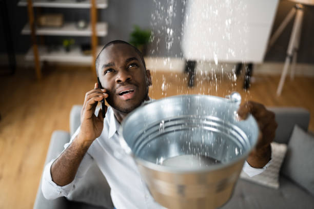 Best Basement water damage restoration  in Riley, KS