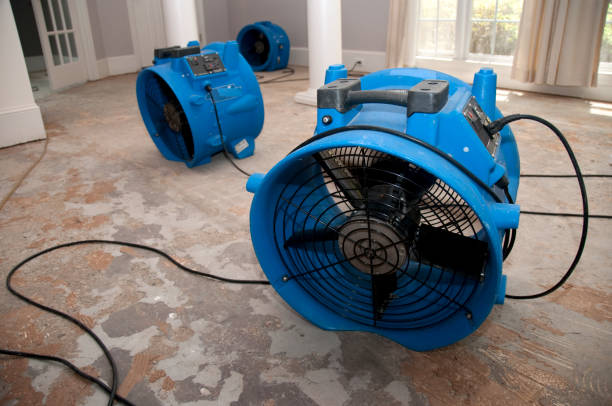 Best Mold removal after water damage  in Riley, KS