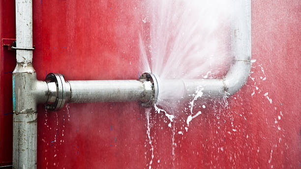 Best Flood damage cleanup  in Riley, KS